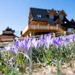 Udanypobyt Tatrzanskie Chalet *
