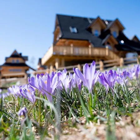 Udanypobyt Tatrzanskie Chalet *