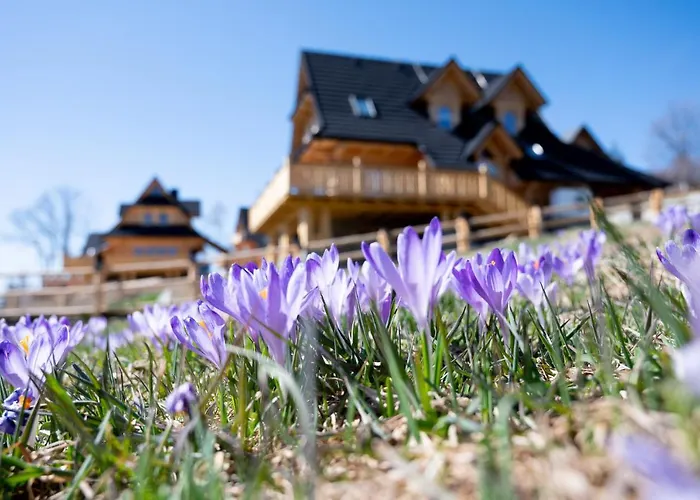 Udanypobyt Tatrzanskie Chalet *